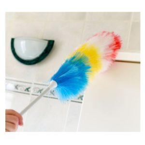 Φτερό Ξεσκονίσματος με Λαβή Strom Static Duster