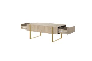Τραπεζάκι Σαλονιού Vera 120x48x60cm Δρυς Oak + Χρυσά Πόδια με 2 συρτάρια - BOG4589