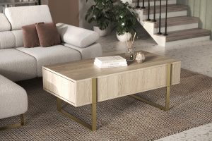 Τραπεζάκι Σαλονιού Vera 120x48x60cm Δρυς Oak + Χρυσά Πόδια με 2 συρτάρια - BOG4589