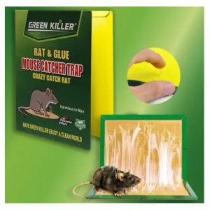 Παγίδα Κόλλας για Ποντίκια - Rat and Glue Mouse Catch Trap