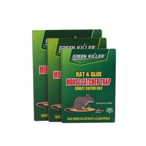 Παγίδα Κόλλας για Ποντίκια - Rat and Glue Mouse Catch Trap