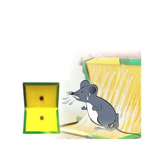 Παγίδα Κόλλας για Ποντίκια - Rat and Glue Mouse Catch Trap