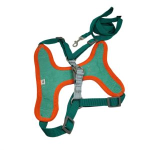 Σαμαράκι για Σκύλους με Λουρί