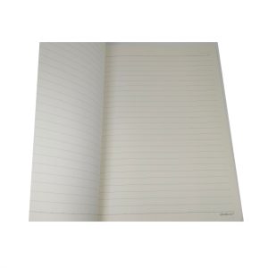 Τετράδιο B5 DL4101-A1646