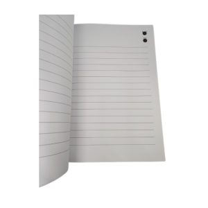 Τετράδιο You are an Angel or a Devil?