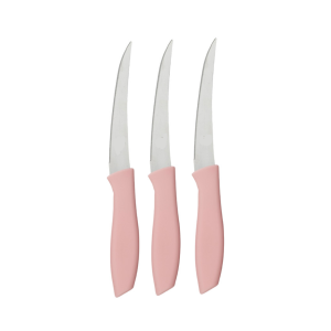 Μαχαίρι με Πλαστική Λαβή Fruit - Steak Knife