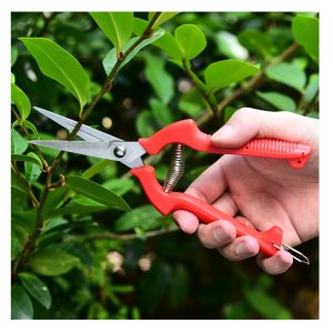 Ψαλίδι Κλαδέματος Pruning Scissors
