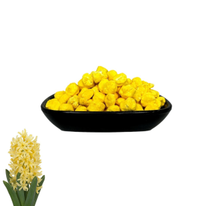 Λιβάνι Υάκινθος