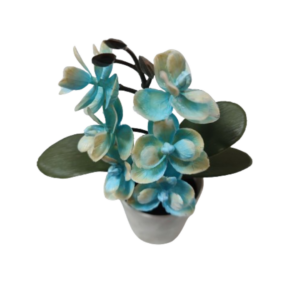 Γλαστράκι με Λουλούδι Sidirela No.6 5679