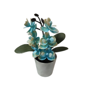 Γλαστράκι με Λουλούδι Sidirela No.6 5679