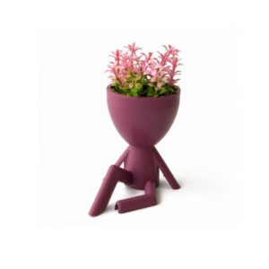 Γλαστράκι με Φυτό Ανθρωπάκι No.5 Sidirela