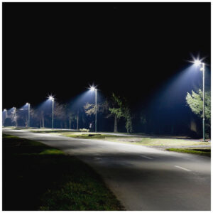 V-TAC Φωτιστικό Δρόμου με Ενσωματωμένο LED σε Λευκό Χρώμα 215291