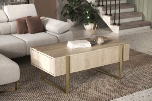 Τραπεζάκι Σαλονιού Vera 120x48x60cm Δρυς Oak + Χρυσά Πόδια με 2 συρτάρια - BOG4589