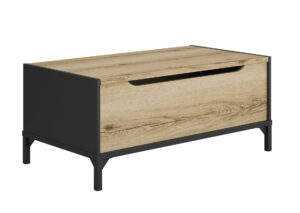 Esteban τραπεζάκι σαλονιού με αποθηκευτικό χώρο 100x44x55cm Helvezia Oak / Μαύρο