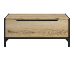 Esteban τραπεζάκι σαλονιού με αποθηκευτικό χώρο 100x44x55cm Helvezia Oak / Μαύρο