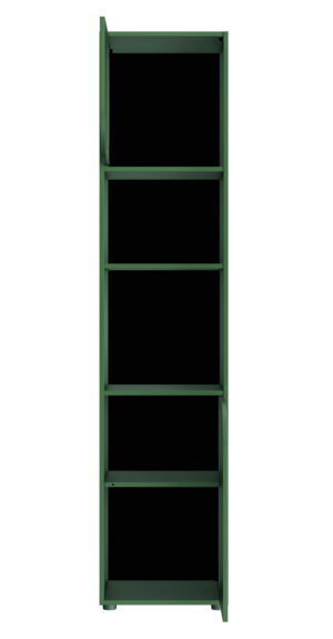 Ritmo βιβλιοθήκη με 2 πόρτες 45x40x200εκ. Πράσινο