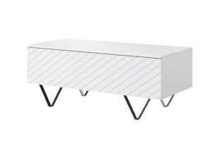 Τραπεζάκι Σαλονιού Sky Λευκό Ματ + Μαύρα Πόδια 120x48x55cm με αποθηκευτικό χώρο & τρίγωνα πόδια - BOG4589