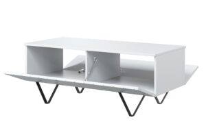 Τραπεζάκι Σαλονιού Sky Λευκό Ματ + Μαύρα Πόδια 120x48x55cm με αποθηκευτικό χώρο & τρίγωνα πόδια - BOG4589