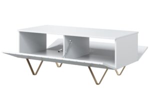 Τραπεζάκι Σαλονιού Sky Λευκό Ματ + Χρυσά Πόδια 120x48x55cm με αποθηκευτικό χώρο & τρίγωνα πόδια - BOG4589