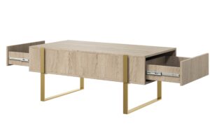 Τραπεζάκι Σαλονιού Vera 120x48x60cm Δρυς Oak + Χρυσά Πόδια με 2 συρτάρια - BOG4589