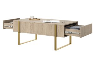 Τραπεζάκι Σαλονιού Vera 120x48x60cm Δρυς Oak + Χρυσά Πόδια με 2 συρτάρια - BOG4589