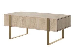 Τραπεζάκι Σαλονιού Vera 120x48x60cm Δρυς Oak + Χρυσά Πόδια με 2 συρτάρια - BOG4589