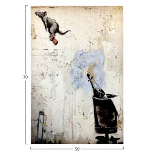 ΠΙΝΑΚΑΣ TOIXOY ΣΕΙΡΑ GOBI HM4826 ΕΚΤΥΠΩΜΕΝΟΣ ΚΑΜΒΑΣ 50x3(πάχος)x70Yεκ.