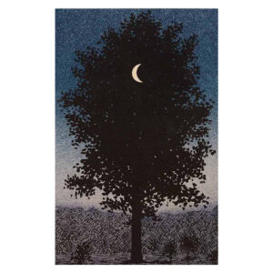 ΠΙΝΑΚΑΣ TOIXOY ΣΕΙΡΑ GOBI HM4850 ΕΚΤΥΠΩΜΕΝΟΣ ΚΑΜΒΑΣ 45x3(πάχος)x70Yεκ.