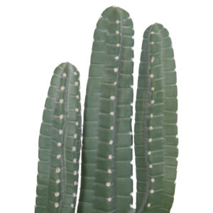 ΔΙΑΚΟΣΜΗΤΙΚΟ ΣΥΝΘΕΤΙΚΟ ΦΥΤΟ HM4742 ΚΑΚΤΟΣ ΜΕ ΓΛΑΣΤΡΑ 17,5x26x103Υεκ.