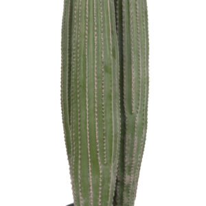 ΔΙΑΚΟΣΜΗΤΙΚΟ ΣΥΝΘΕΤΙΚΟ ΦΥΤΟ HM4743 ΚΑΚΤΟΣ ΜΕ ΓΛΑΣΤΡΑ Φ16x62Υεκ.