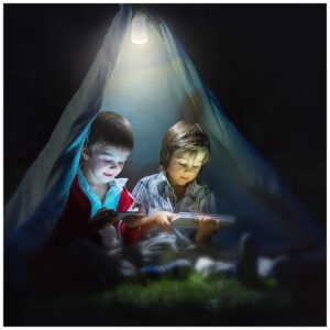 V-TAC Φορητός & επαναφορτιζόμενος ηλιακός λαμπτήρας E27 3 σε 1 με ηλιακό πάνελ και θύρα USB 2857