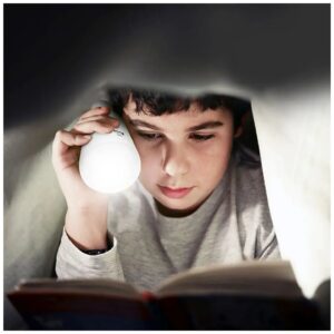 V-TAC Φορητός & επαναφορτιζόμενος ηλιακός λαμπτήρας E27 3 σε 1 με ηλιακό πάνελ και θύρα USB 2857