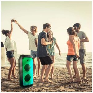 Επαναφορτιζόμενο φορητό ηχείο 40W με ενσύρματο μικρόφωνο και χειρισμό RF (2*8inch)