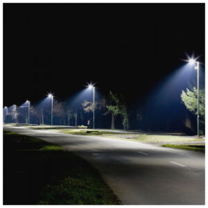 V-TAC Στεγανό Φωτιστικό Δρόμου με Ενσωματωμένο LED σε Μαύρο Χρώμα 21529