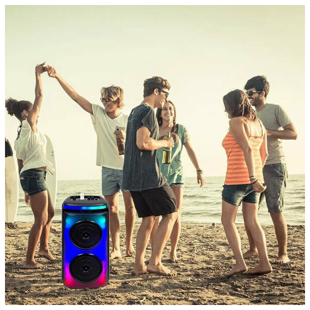 V-TAC Επαναφορτιζόμενο φορητό ηχείο 20W με ενσύρματο μικρόφωνο και χειρισμό RF (2*6.5inch) 7676