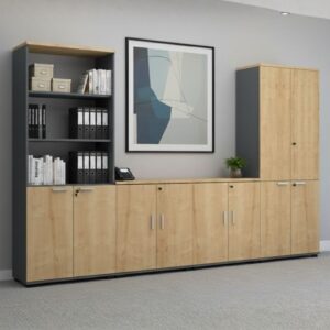 Ντουλάπα γραφείου με κλειδαριά επαγγελματική Venturo Megapap χρώμα ανθρακί - φυσικό οξιάς 80x40x200εκ.