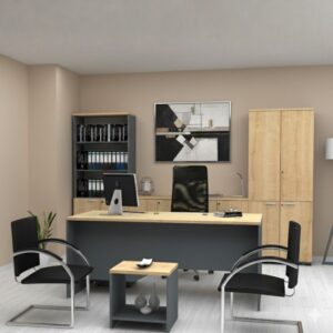 Ντουλάπα γραφείου με κλειδαριά επαγγελματική Venturo Megapap χρώμα ανθρακί - φυσικό οξιάς 80x40x200εκ.