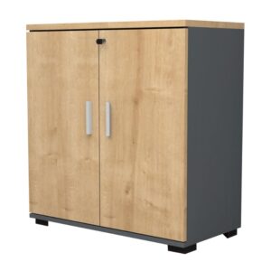 Ντουλάπι γραφείου με κλειδαριά επαγγελματικό Venturo Megapap χρώμα ανθρακί - φυσικό οξιάς 80x40x80εκ.