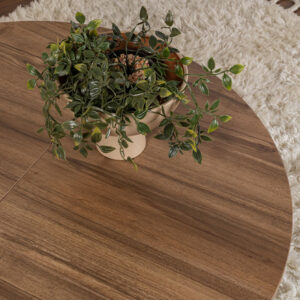 Τραπεζάκι σαλονιού σετ 2 τμχ Moira Megapap χρώμα καρυδί Ø90x41εκ.